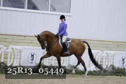 25R13_05449 thumbnail