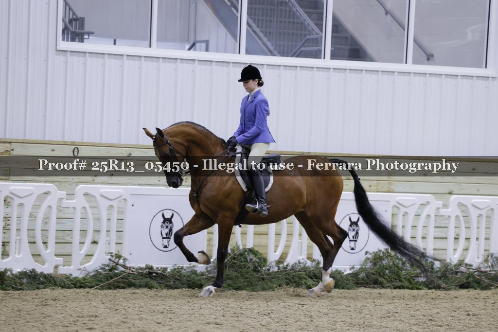 Proof Number 25R13_05450
