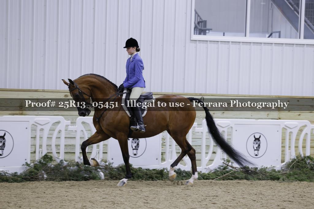 Proof Number 25R13_05451