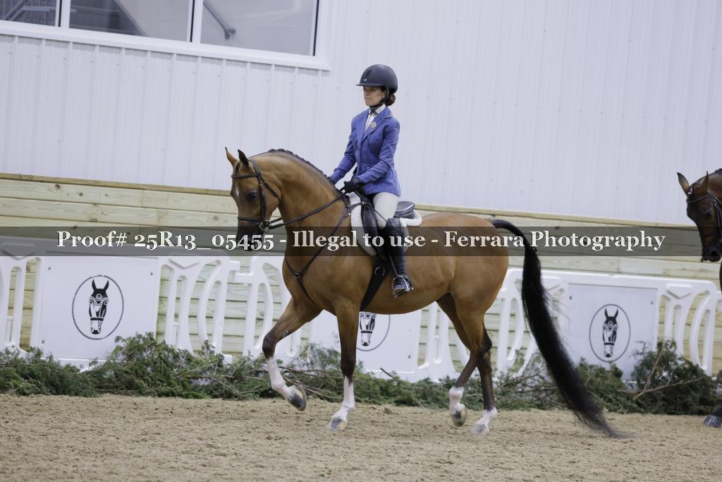 Proof Number 25R13_05455