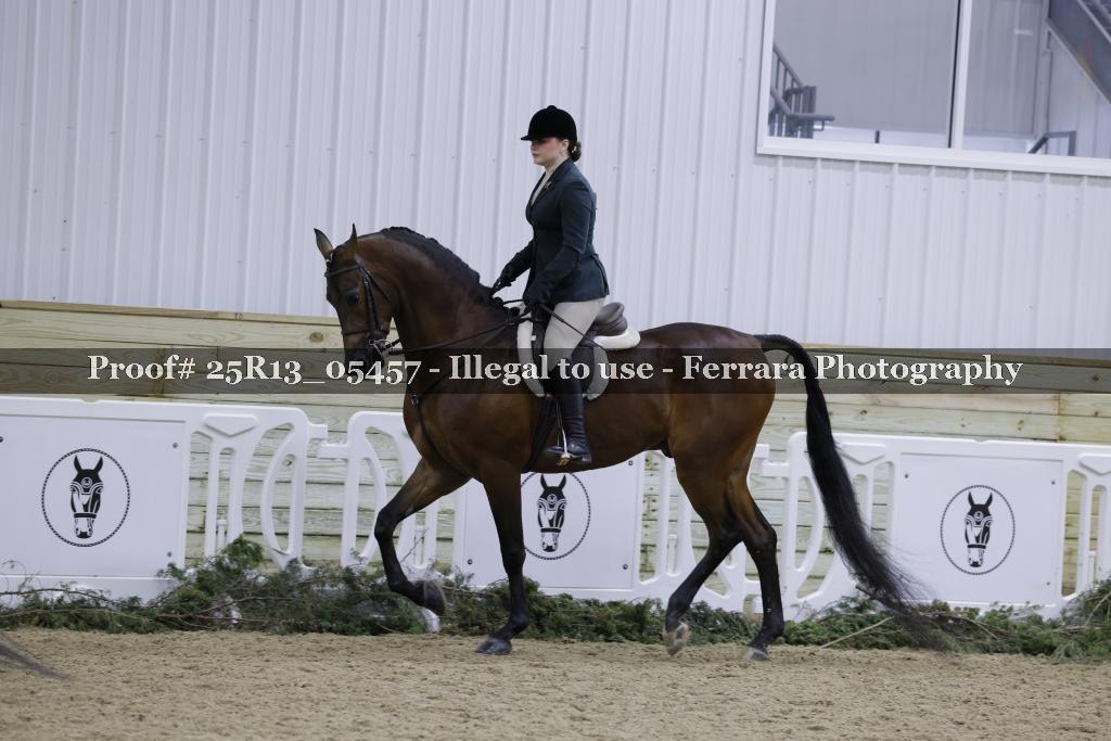 Proof Number 25R13_05457