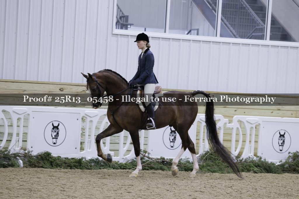 Proof Number 25R13_05458