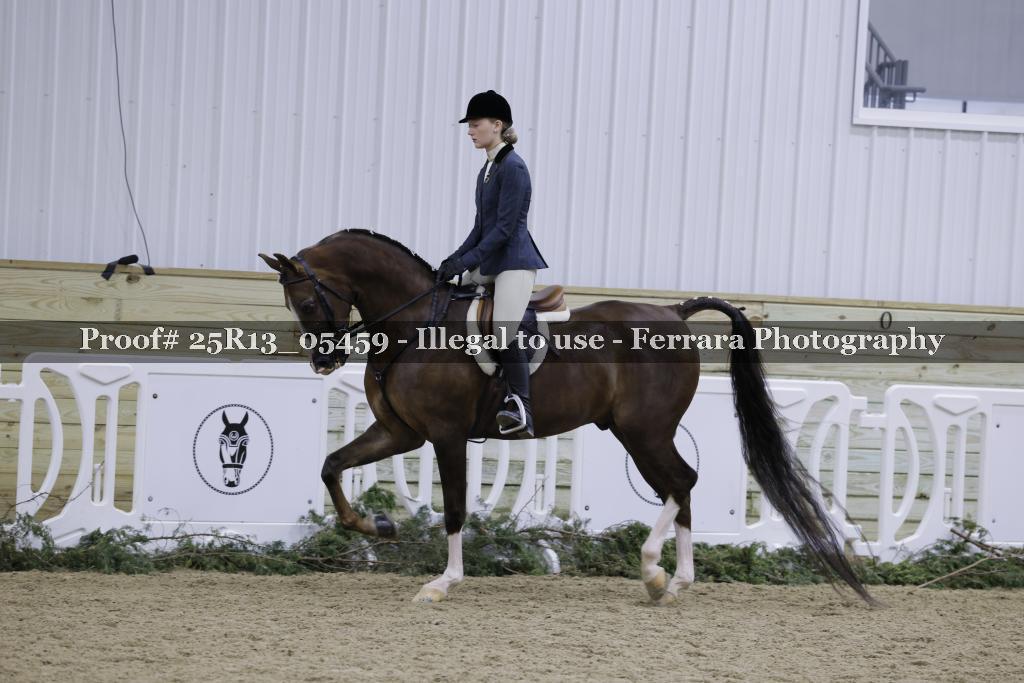 Proof Number 25R13_05459