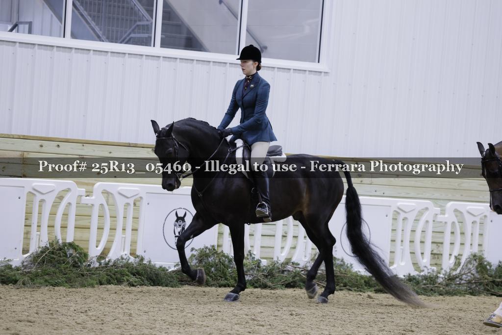 Proof Number 25R13_05460