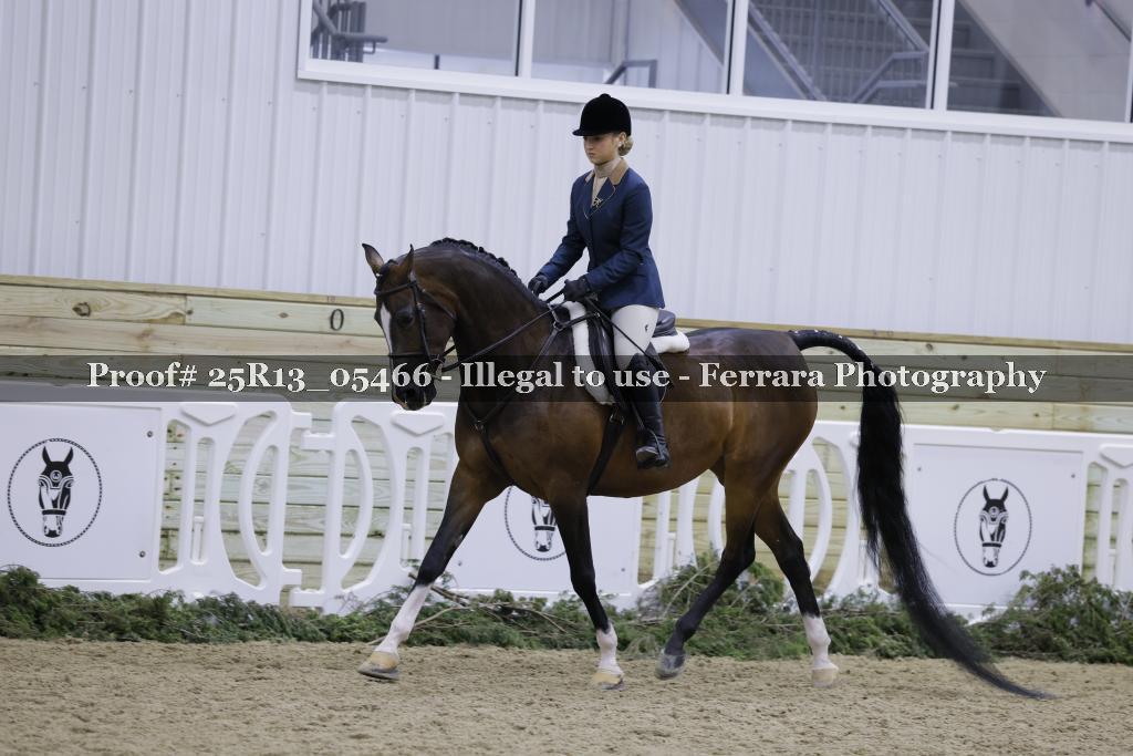 Proof Number 25R13_05466