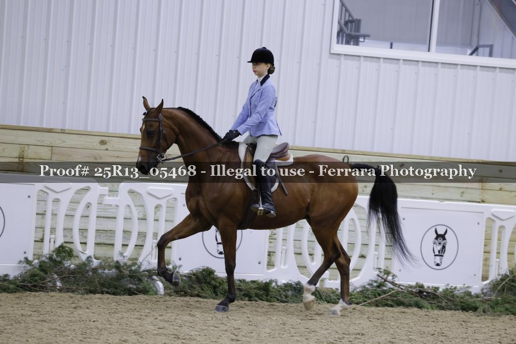 Proof Number 25R13_05468