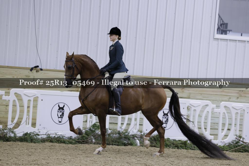 Proof Number 25R13_05469