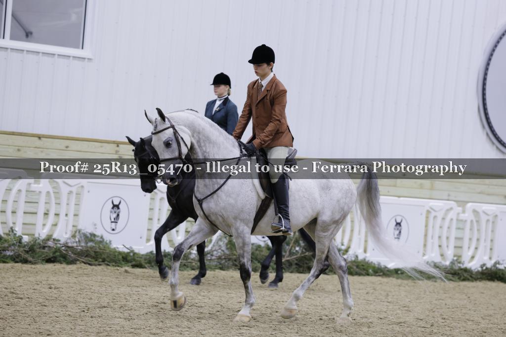 Proof Number 25R13_05470