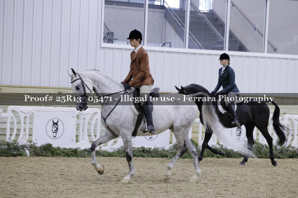 Proof Number 25R13_05471