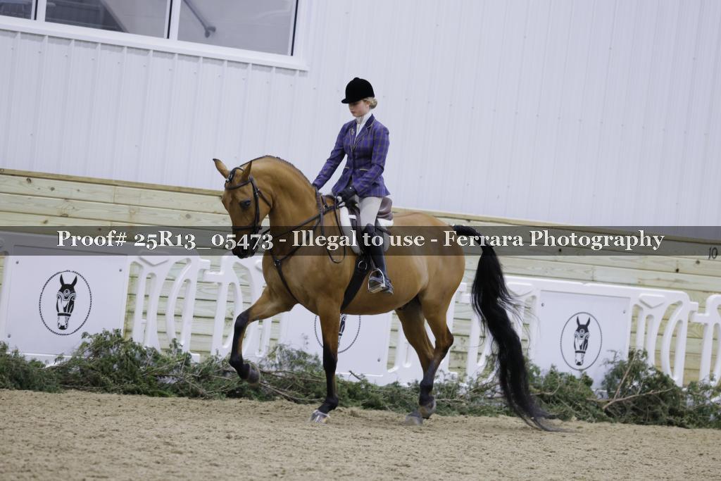 Proof Number 25R13_05473