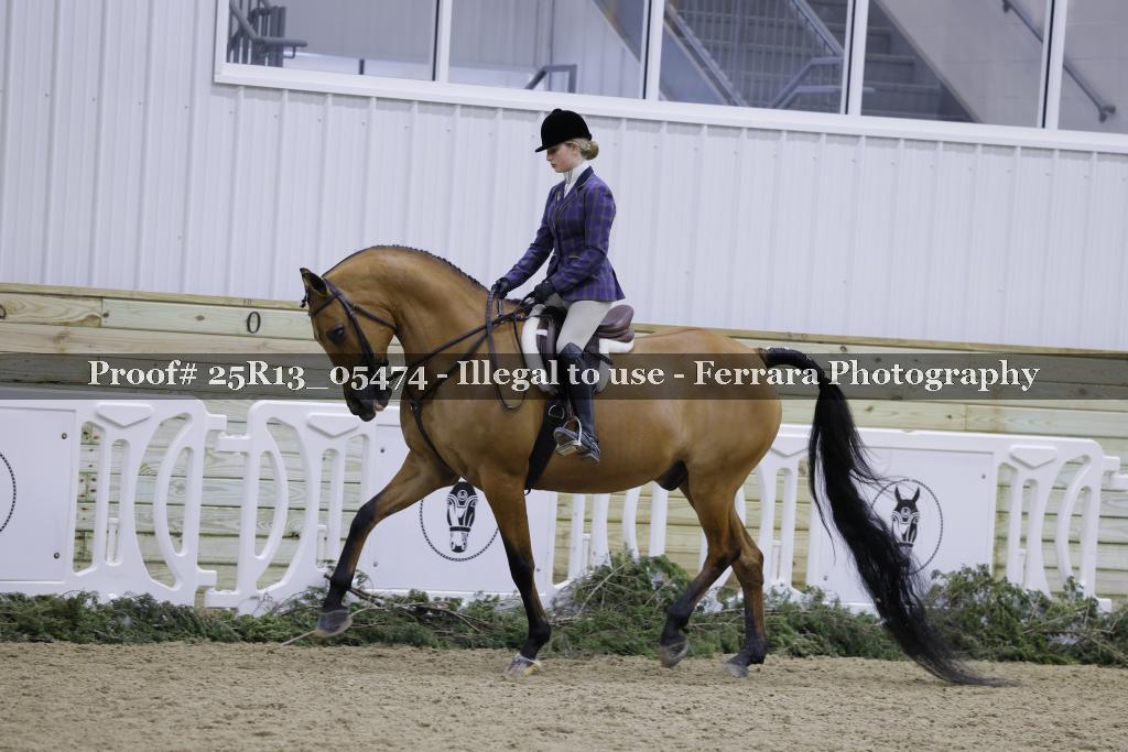 Proof Number 25R13_05474
