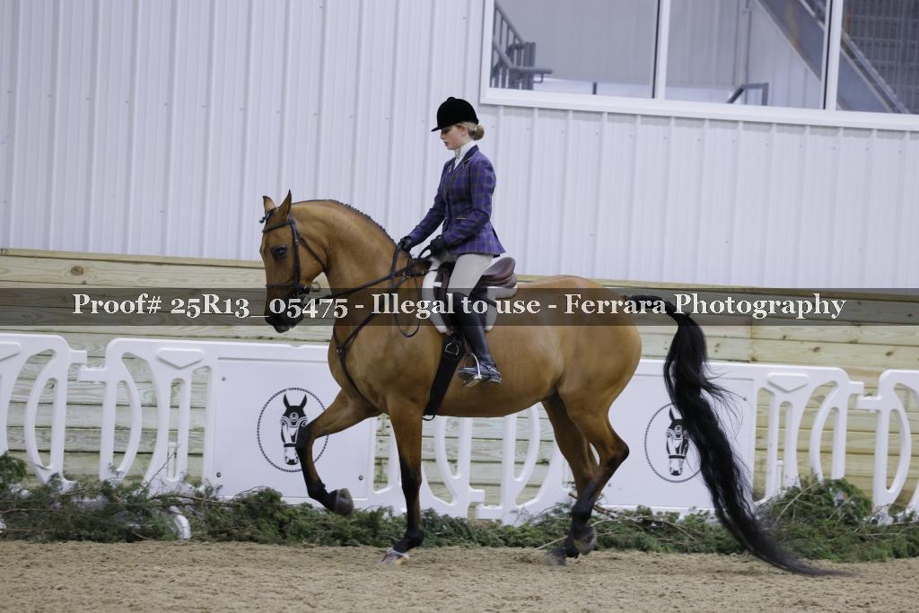 Proof Number 25R13_05475