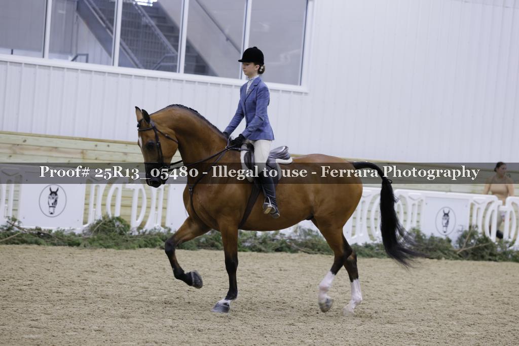 Proof Number 25R13_05480
