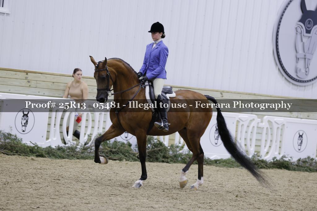 Proof Number 25R13_05481