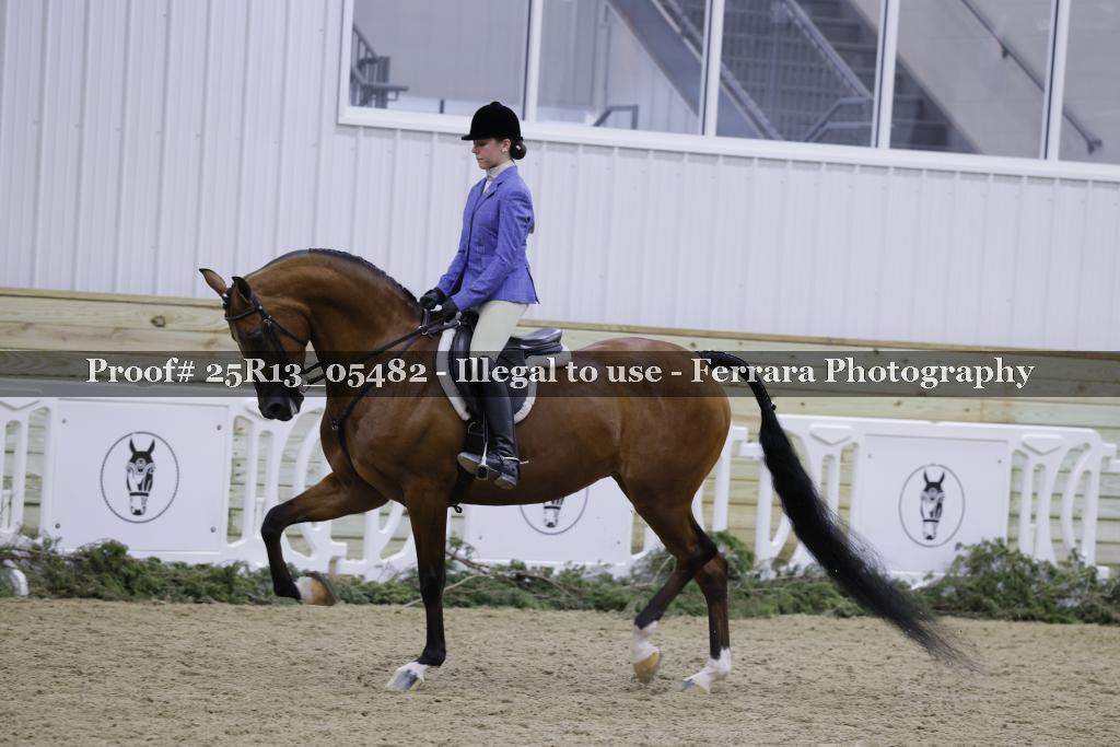 Proof Number 25R13_05482