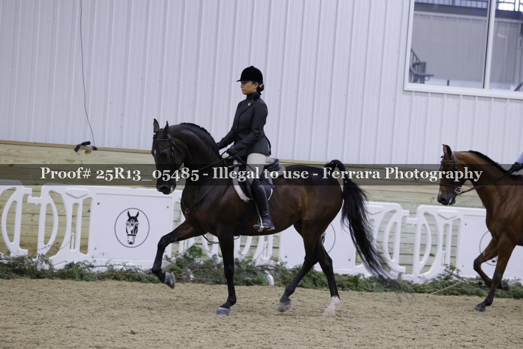 Proof Number 25R13_05485
