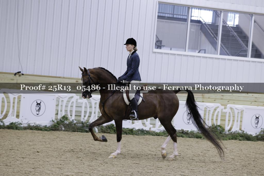Proof Number 25R13_05486