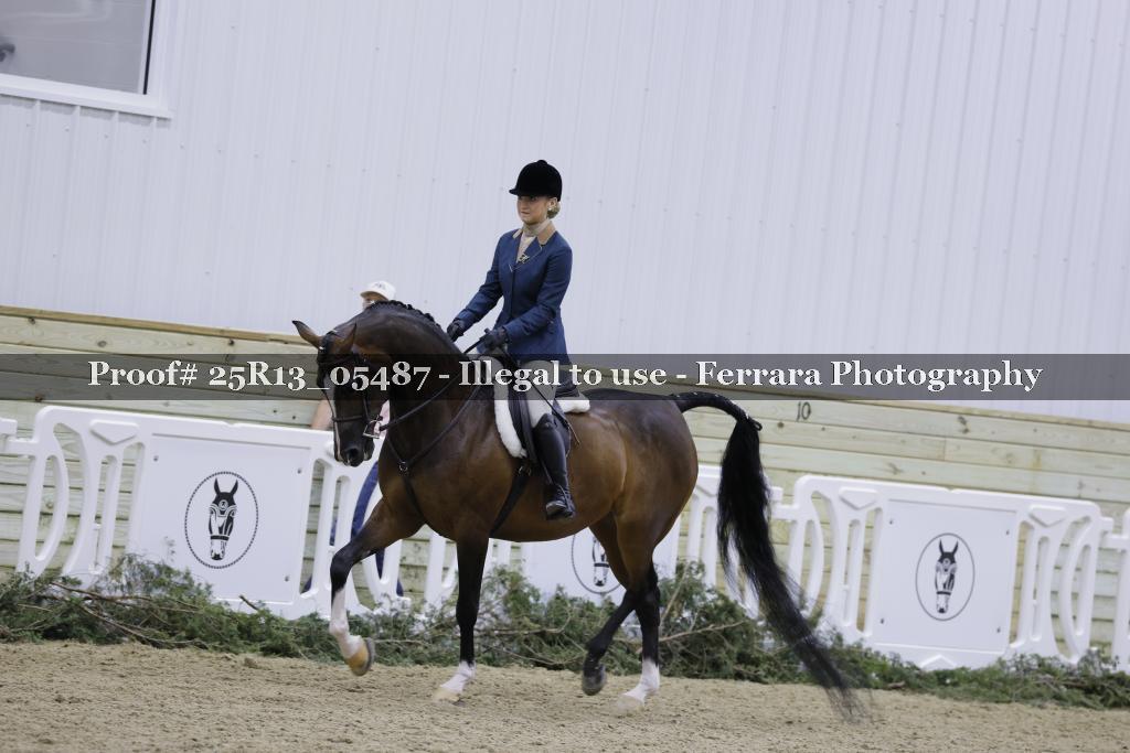Proof Number 25R13_05487