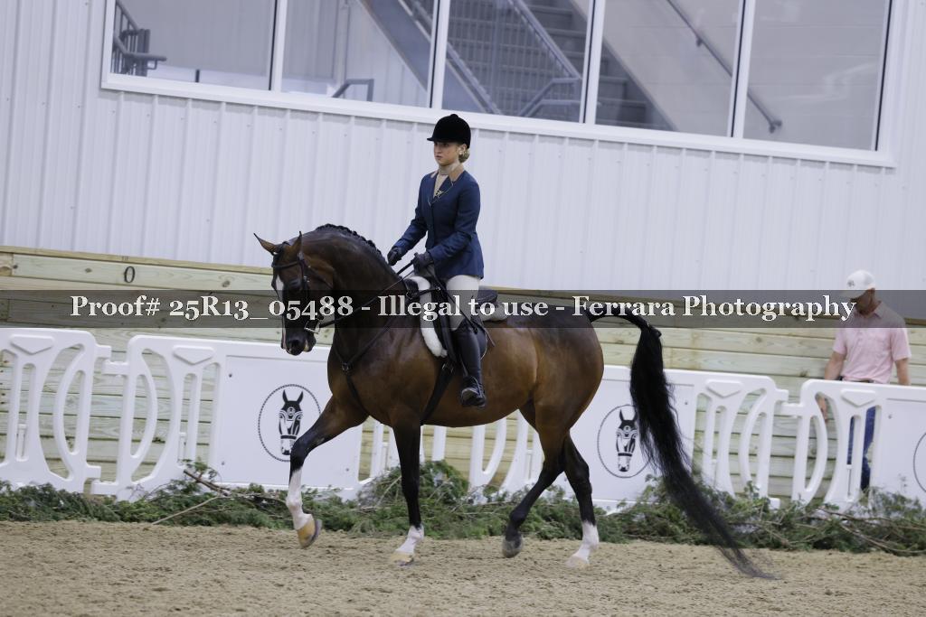 Proof Number 25R13_05488