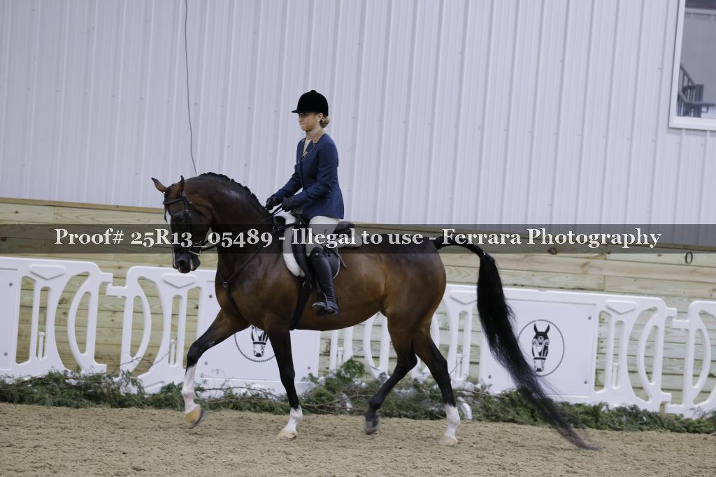 Proof Number 25R13_05489