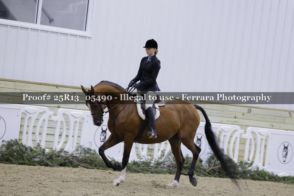 Proof Number 25R13_05490