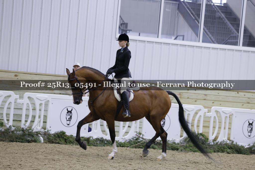 Proof Number 25R13_05491