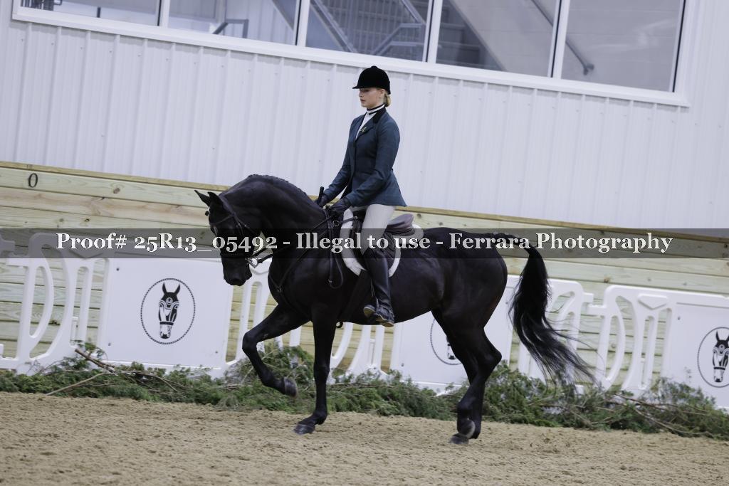 Proof Number 25R13_05492
