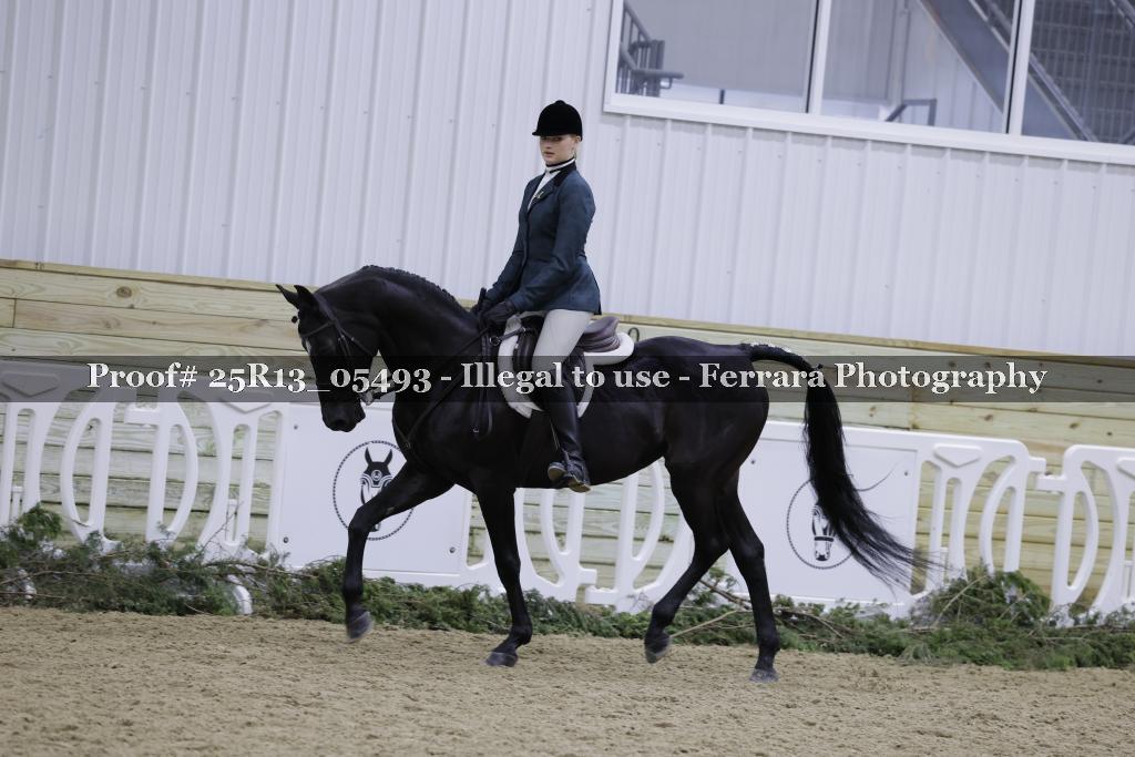 Proof Number 25R13_05493