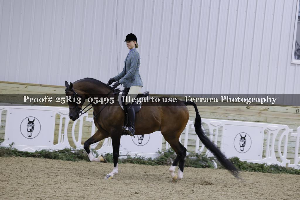 Proof Number 25R13_05495