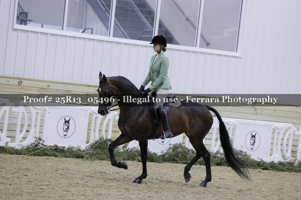 Proof Number 25R13_05496