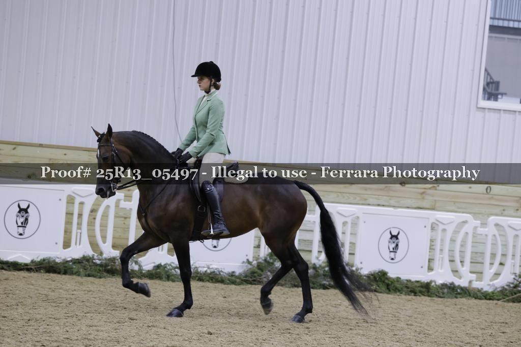 Proof Number 25R13_05497