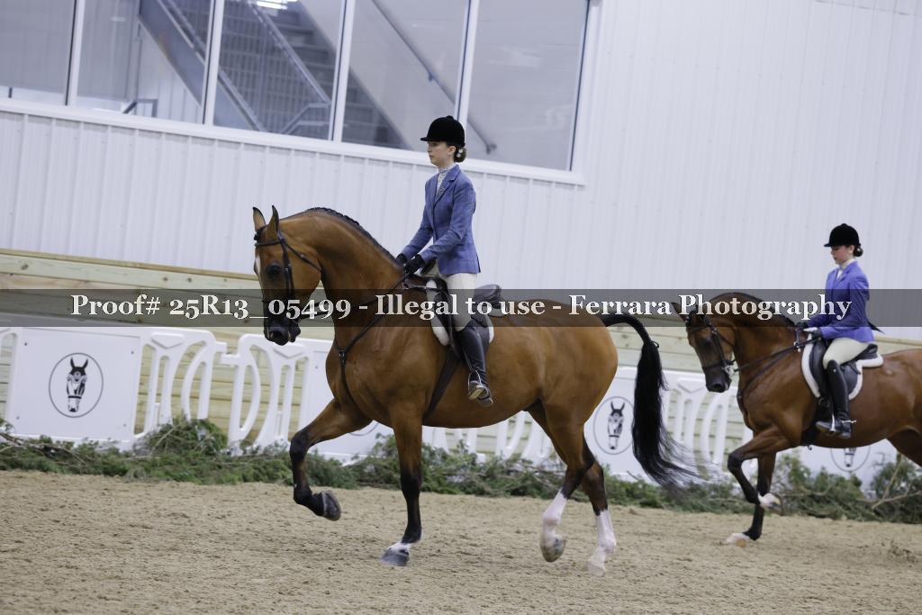 Proof Number 25R13_05499
