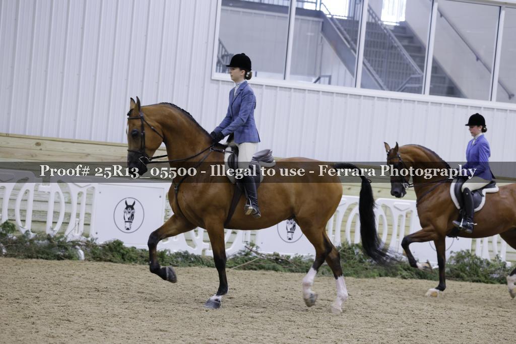 Proof Number 25R13_05500