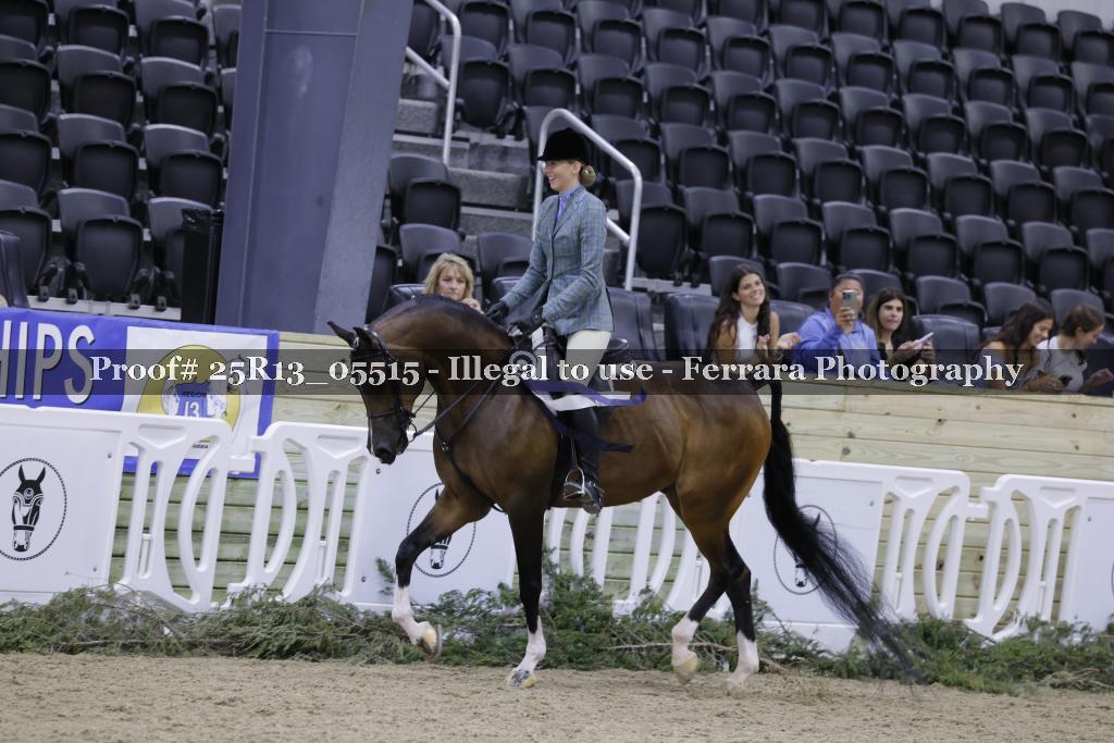 Proof Number 25R13_05515