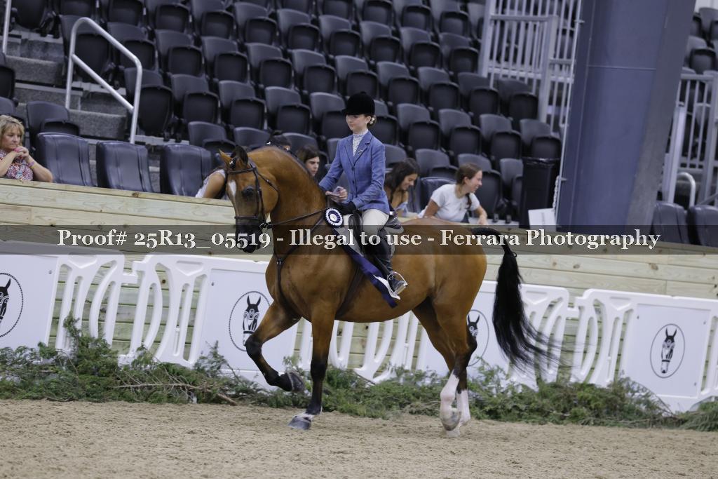 Proof Number 25R13_05519