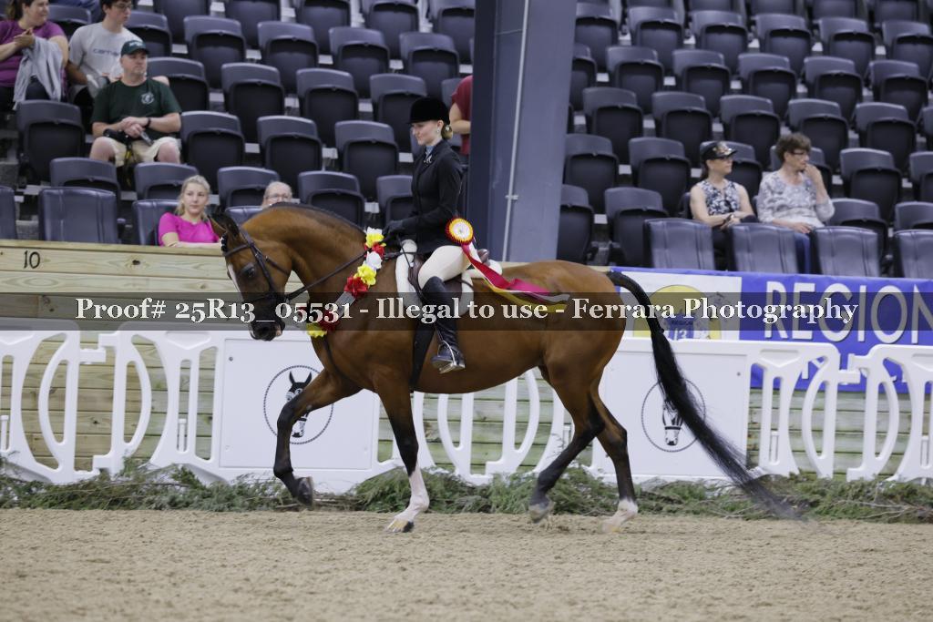Proof Number 25R13_05531