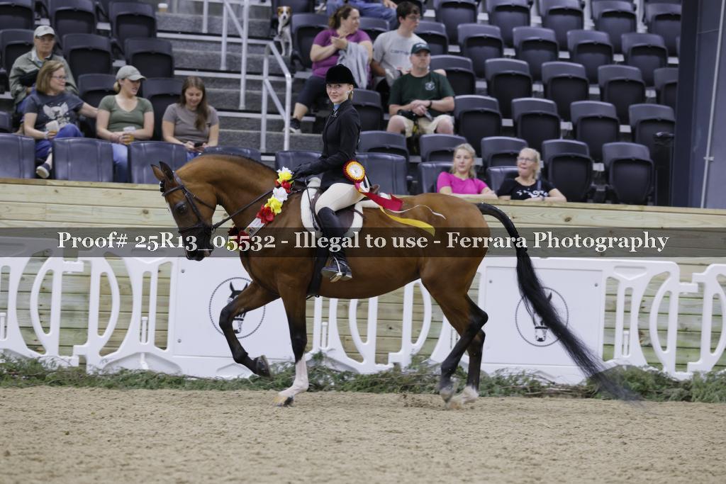 Proof Number 25R13_05532