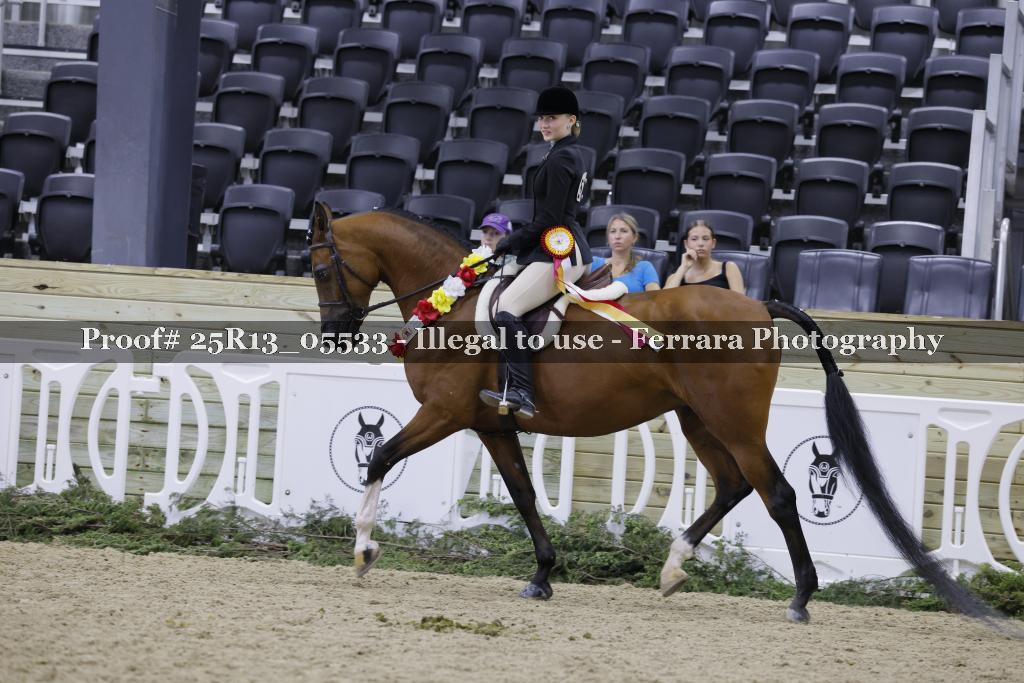 Proof Number 25R13_05533