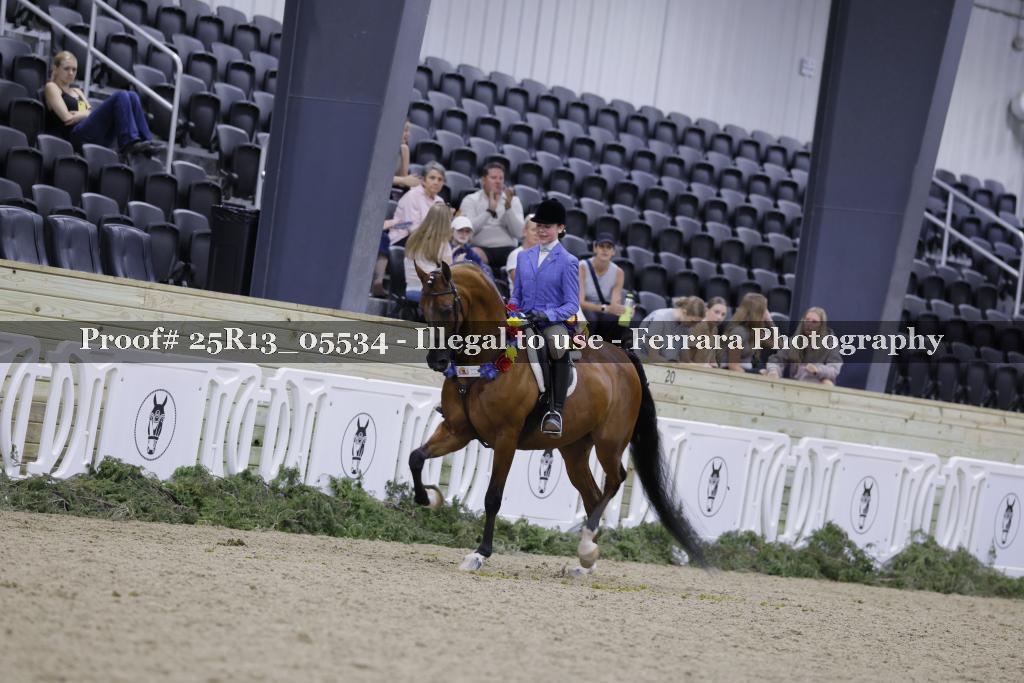 Proof Number 25R13_05534