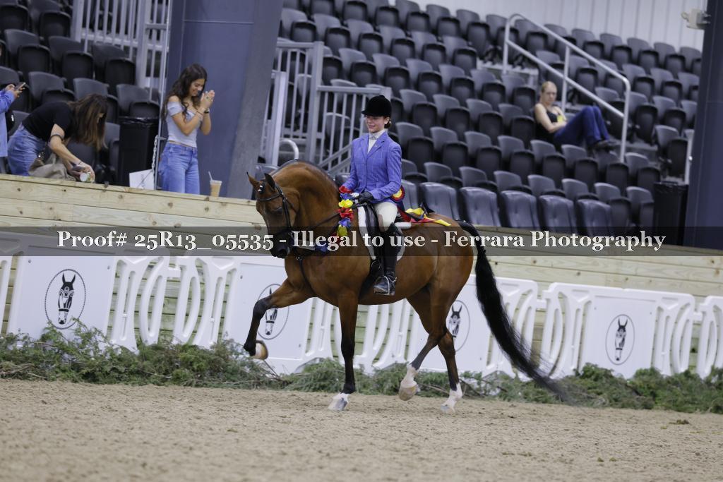 Proof Number 25R13_05535