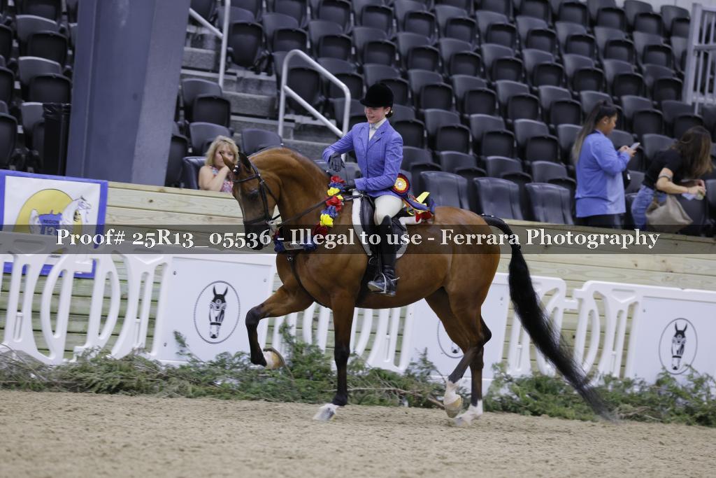 Proof Number 25R13_05536