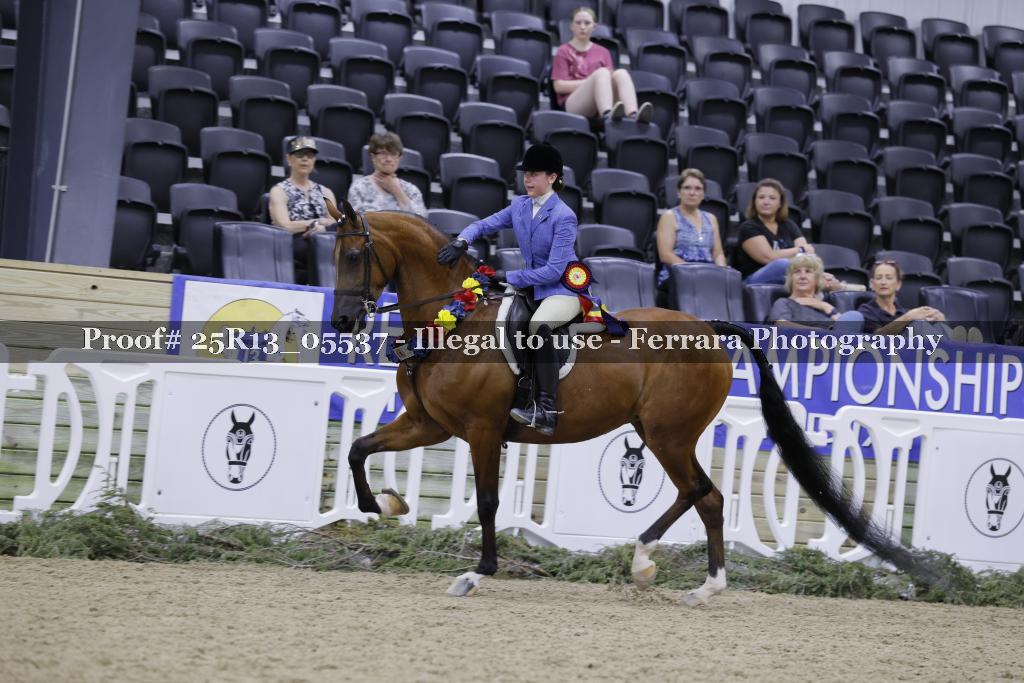 Proof Number 25R13_05537
