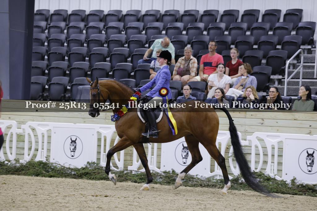 Proof Number 25R13_05541