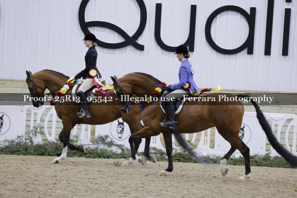 Proof Number 25R13_05542
