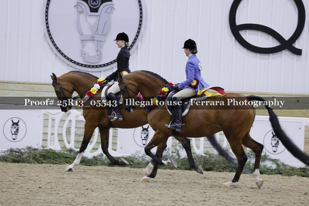 Proof Number 25R13_05543