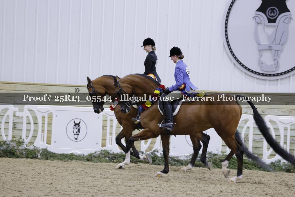 Proof Number 25R13_05544