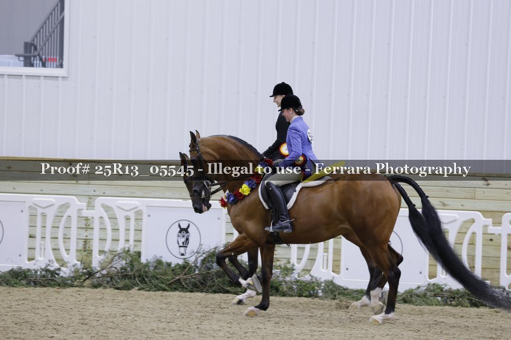 Proof Number 25R13_05545