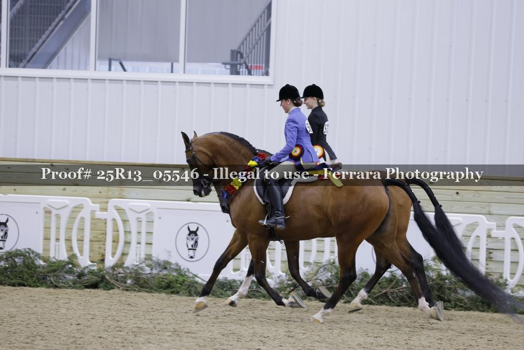 Proof Number 25R13_05546