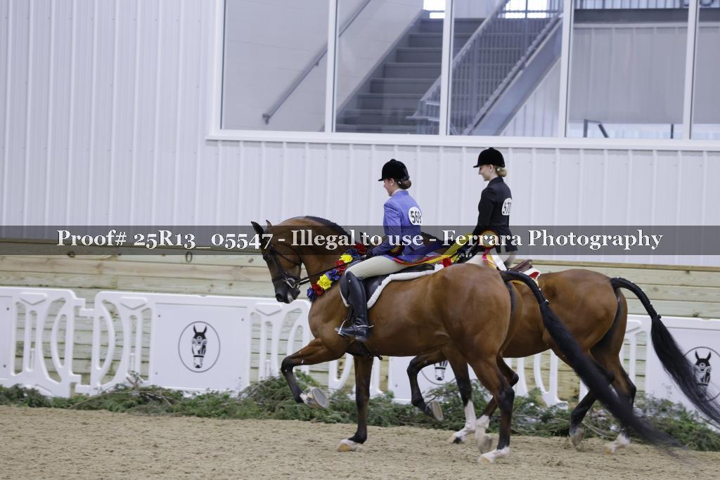 Proof Number 25R13_05547