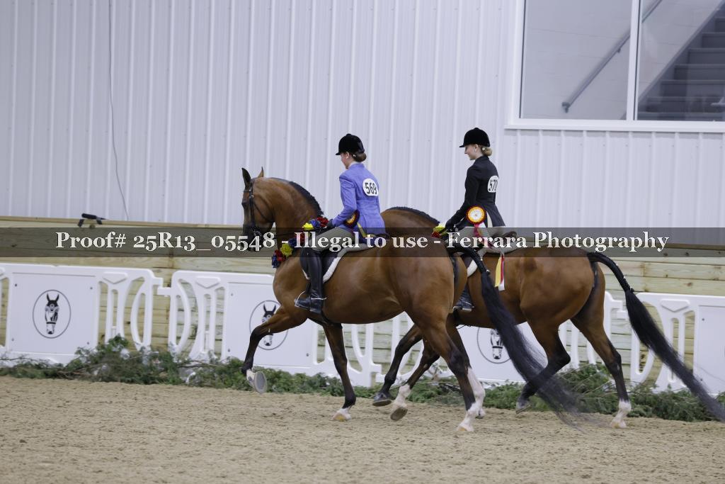 Proof Number 25R13_05548
